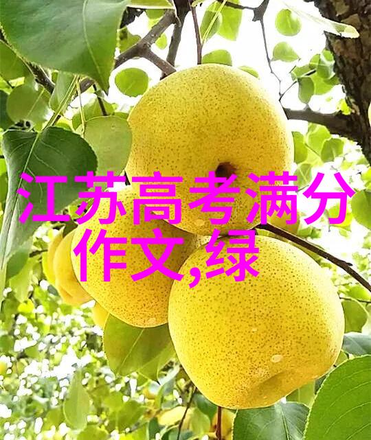 聆听感性的旋律女性艺术家笔下的之美