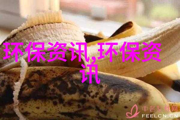 光伏盛宴倒计时12th bifi PV Workshop 2024 Zhuhai亮点抢先看