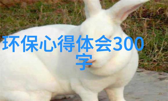 气势气韵孙敏书法艺术展揭幕