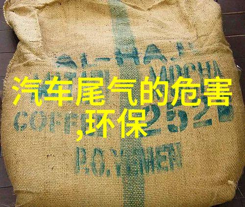 苏派花鸟画门外谈